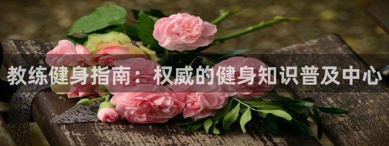 QY球友会体育官方平台